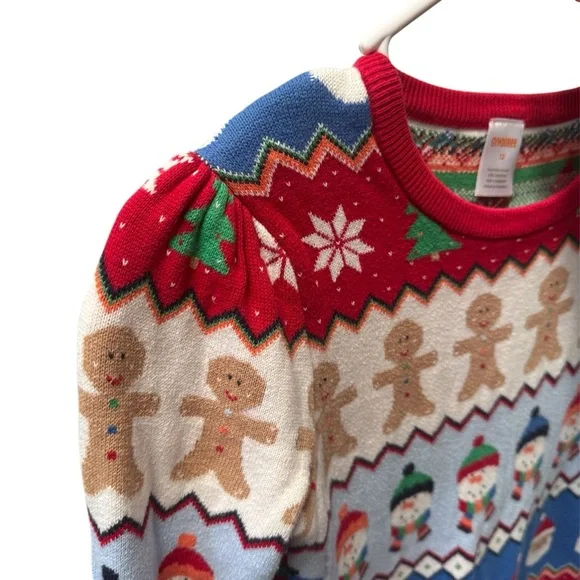 Girls Sweater Dress Assortment Lot, Gymboree Dress Bundle size Large (12) - Picture 12 of 15